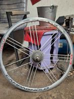 Achterwiel racefiets, Ophalen, Gebruikt, Racefiets, Wiel