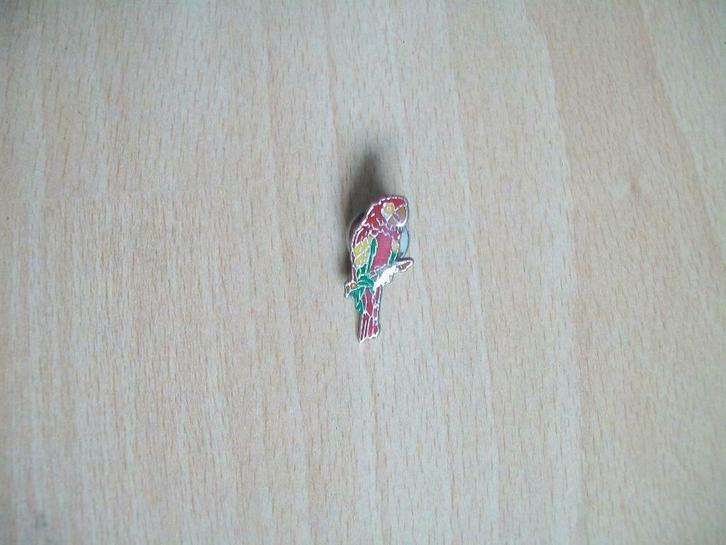 Speldje / pin / button - papegaai - 1 x 2,5 cm, Verzamelen, Speldjes, Pins en Buttons, Gebruikt, Speldje of Pin, Dier of Natuur