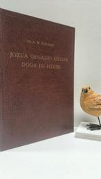 Verhoef, Ds. A.W.; Jozua genadig geleid door de Heere, Boeken, Ophalen of Verzenden, Gelezen, Christendom | Protestants