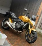 Honda Hornet CB600 met ABS net onderhoud gehad, 4 cilinders, Particulier, Meer dan 35 kW, 600 cc
