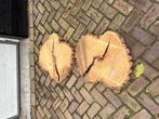 acacia  schijven  voor epoxy hout tafel, Ophalen, Nieuw, Knutselwerk