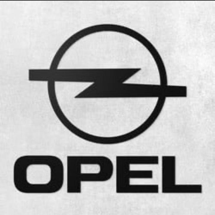 Opel diagnose, inleren, adaptaties, coderen, Auto diversen, Tuning en Styling, Ophalen