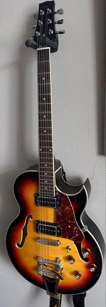 Hollow Body Gitaar met P90 Elementen+ bigsby, Muziek en Instrumenten, Snaarinstrumenten | Gitaren | Elektrisch, Gebruikt, Hollow body