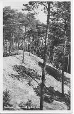 Nunspeet Heuvelrug in het bos., Verzamelen, Ansichtkaarten | Nederland, Ophalen of Verzenden, 1940 tot 1960, Gelopen, Gelderland