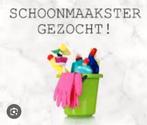 Schoonmaker gezocht in Sint Pancras, Vacatures, Vacatures | Thuiswerk, Overige vormen