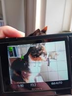 Sony zv 1 vlogcamera + bijpassend statief Sony GP-VPT2BT, Ophalen, Overige soorten, Camera