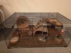 Hamster kooi compleet, Dieren en Toebehoren, Minder dan 60 cm, Kooi, Minder dan 75 cm, Ophalen of Verzenden