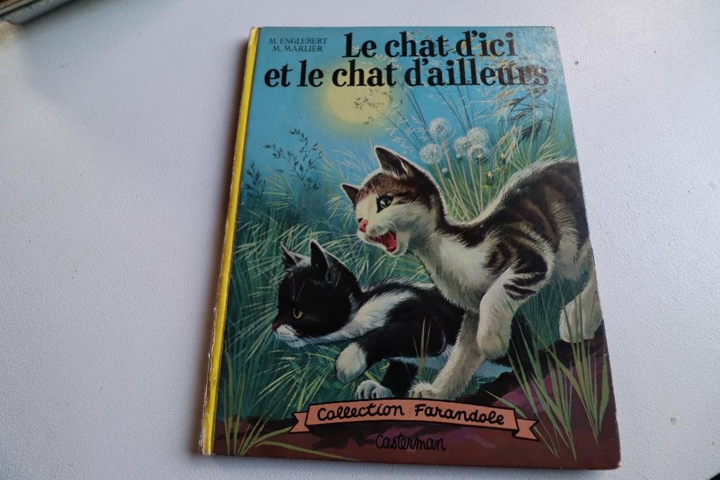Le chat d' ici et le chat d'ailleurs 1963, Ophalen of Verzenden, Gelezen, Fictie algemeen