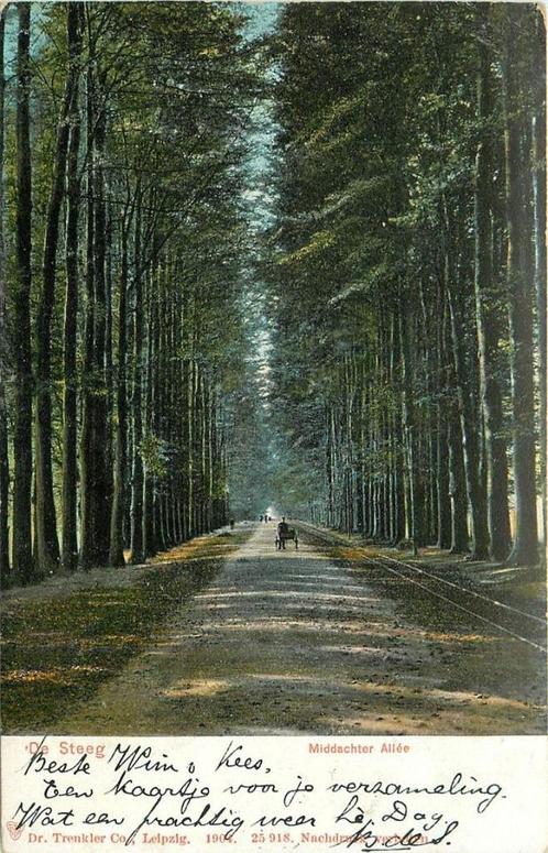 (387-249-049) De Steeg Middachter allee, Verzamelen, Ansichtkaarten | Nederland, Gelderland, Verzenden