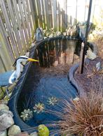 Complete vijver met vissen en pomp, Ophalen of Verzenden, Gebruikt