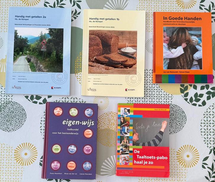 Studieboeken Pabo & Onderwijs, Boeken, Studieboeken en Cursussen, Zo goed als nieuw, HBO, Ophalen