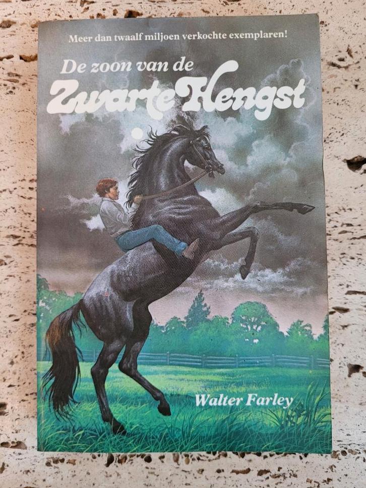 Boek De zoon van de Zwarte Hengst Walter Farley, Boeken, Kinderboeken | Jeugd | 13 jaar en ouder, Gelezen, Ophalen of Verzenden
