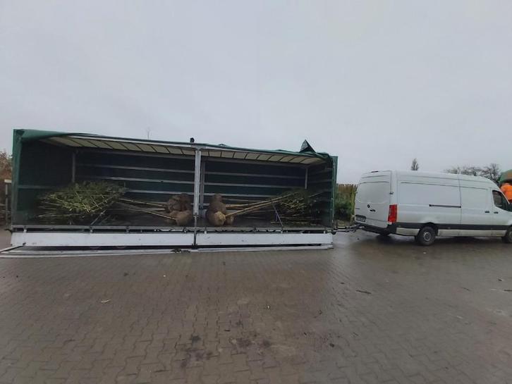 Transport Frankrijk – Nederland Spoed, regulier, Diensten en Vakmensen, Verhuizers en Opslag, Opslag, Verhuizen internationaal