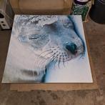 Fotolijstjes en Canvas, Ophalen, Gebruikt, Schilderij