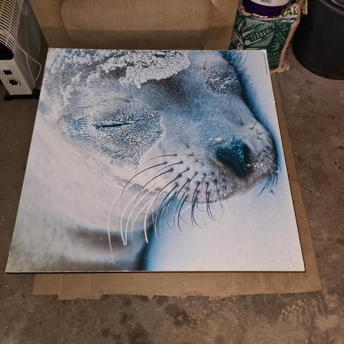 Fotolijstjes en Canvas, Huis en Inrichting, Woonaccessoires | Schilderijen, Tekeningen en Foto's, Gebruikt, Schilderij, Ophalen