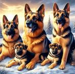 Diamond painting herders honden 50x50 ronde steentjes, Ophalen of Verzenden, Nieuw, Knutselwerk