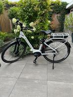 elektrische fiets, Nieuw, Minder dan 47 cm, 50 km per accu of meer, Ophalen