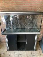 Leuke aquarium, Ophalen, Gebruikt, Leeg aquarium