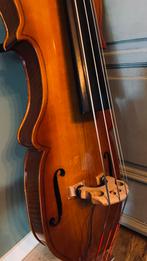 Eminence elektrische contrabas, Ophalen, Gebruikt, 3/4-contrabas