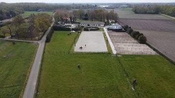 Plek voor 2 Paarden & 1 Pony (of paard) op privé stal beschikbaar voor biedingen
