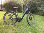 Pegasus Ravenna, Fietsen en Brommers, Elektrische fietsen, 51 tot 55 cm, Ophalen, Zo goed als nieuw, Overige merken