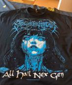 Gezocht: BMTH Nex Gen tshirt, Kleding | Heren, T-shirts, Ophalen of Verzenden, Zo goed als nieuw