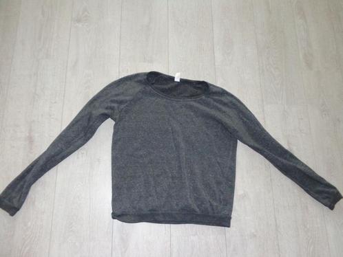 2 grijze damestruien van Alternative, maat S en M ., Kleding | Dames, Truien en Vesten, Zo goed als nieuw, Maat 36 (S), Grijs