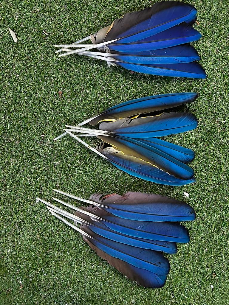 Ara vleigelveren, Ophalen of Verzenden, Materiaal