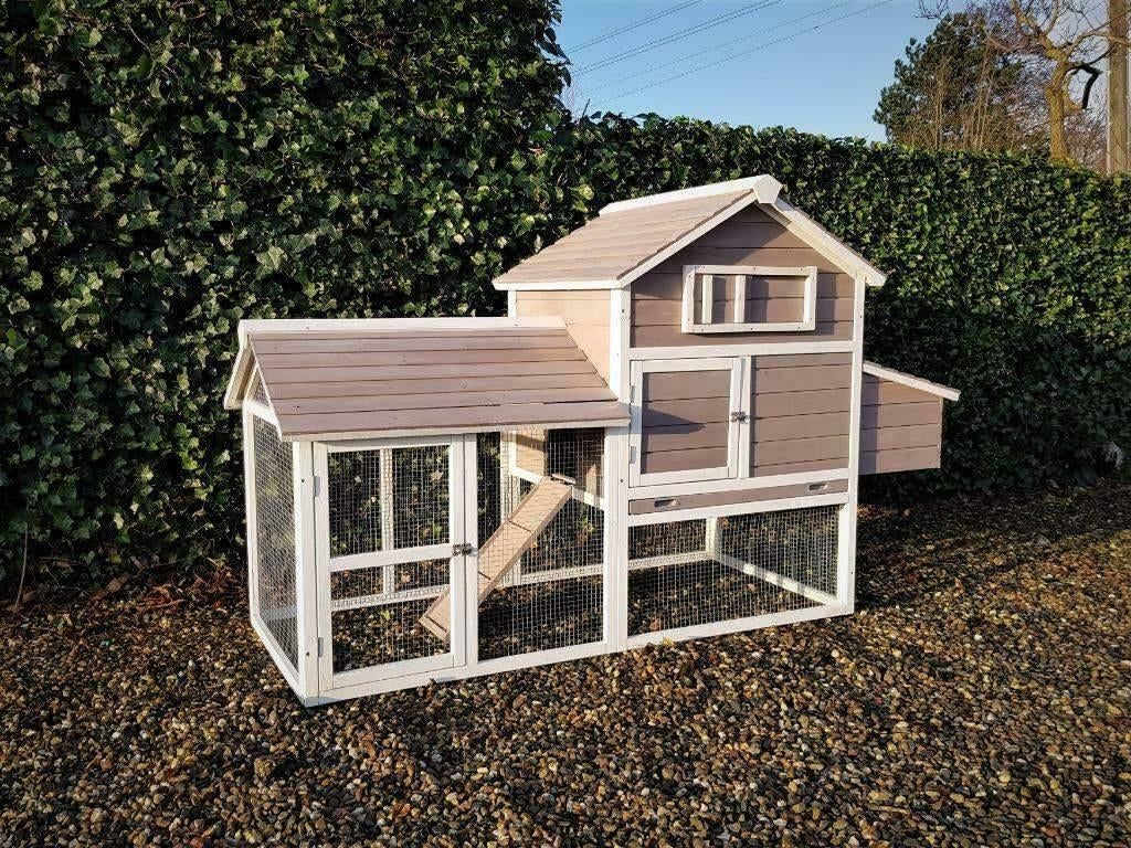 Kippenhok Eggy L - 50% korting!, Ophalen of Verzenden, Nieuw, Kippenhok of Kippenren