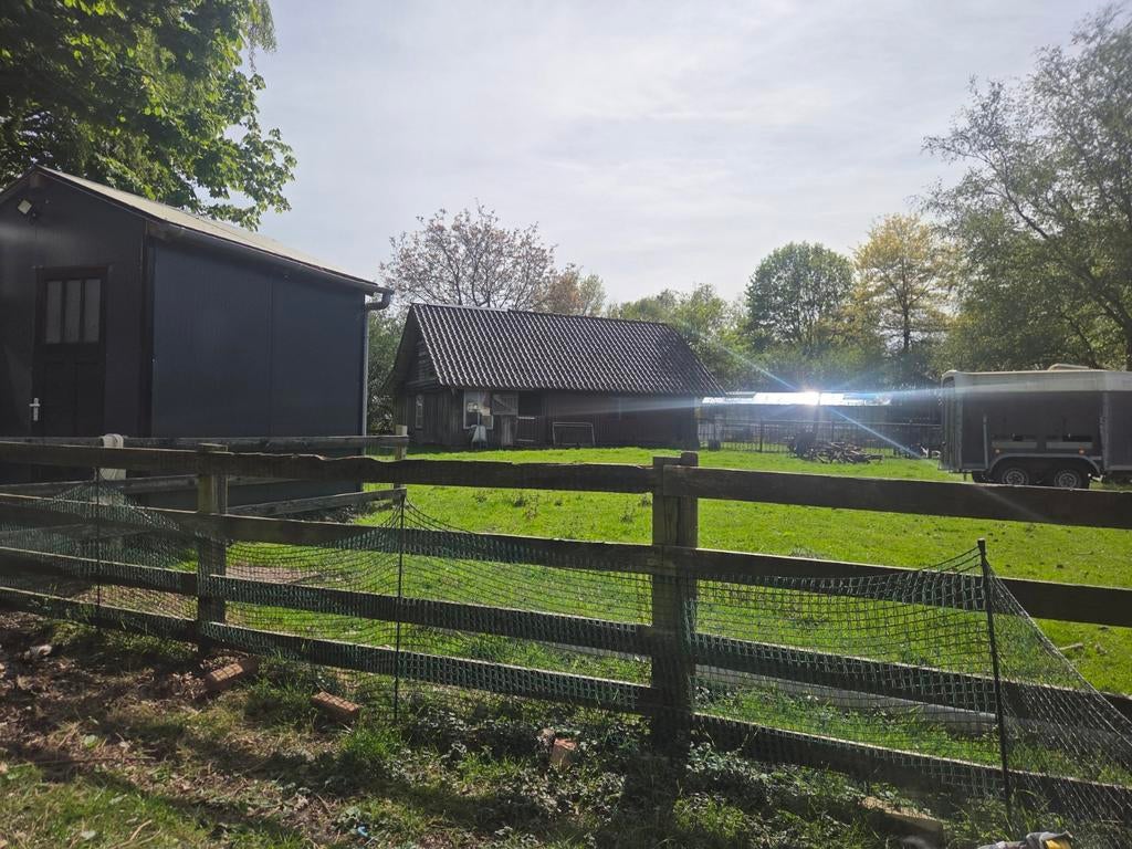 Stalling voor shetlander of a ,b welsh berkel, Stalling