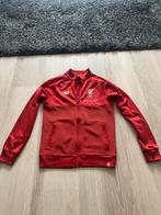 Origineel Liverpool trainingsjasje, Maat S, Ophalen of Verzenden, Gebruikt, Overige typen