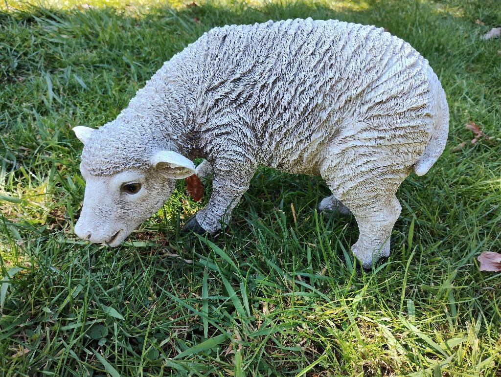 tuinbeeld schaap/lammetje van polystone, afm. 32cm, hoog 21, Ophalen of Verzenden, Zo goed als nieuw, Overige materialen, Dierenbeeld