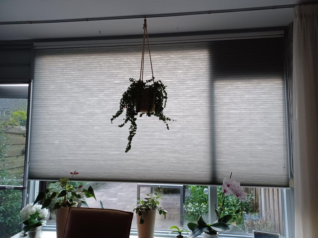 Plissé gordijn grijs/wit, Gebruikt, Grijs, 150 tot 200 cm, 50 tot 100 cm