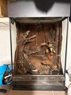 Ingericht Terrarium, Ophalen, Zo goed als nieuw