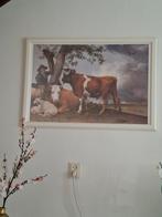 Ingelijste poster Stier van Paulus Potter, Ophalen of Verzenden