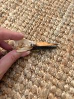 Schedel ijsvogel vogel taxidermie, Ophalen of Verzenden, Vogel, Schedel