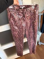 Harper & Yve broek slangenprint m, Ophalen of Verzenden, Zo goed als nieuw, Bruin, Lang