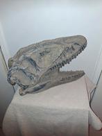 Dinosaurus schedel polyresin - binnen en buiten decoratie, Ophalen of Verzenden, Nieuw, Dier
