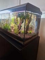 Te koop aquarium Met toebehoren, Ophalen, Zo goed als nieuw