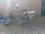 E-bike lage opstap, senioren, Minder dan 47 cm, Ophalen, Gebruikt, Gazelle