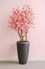 Bloesem, magnolia, pampa's of olijvenbos in vaas, Overige materialen, Overige kleuren, Nieuw, Ophalen of Verzenden