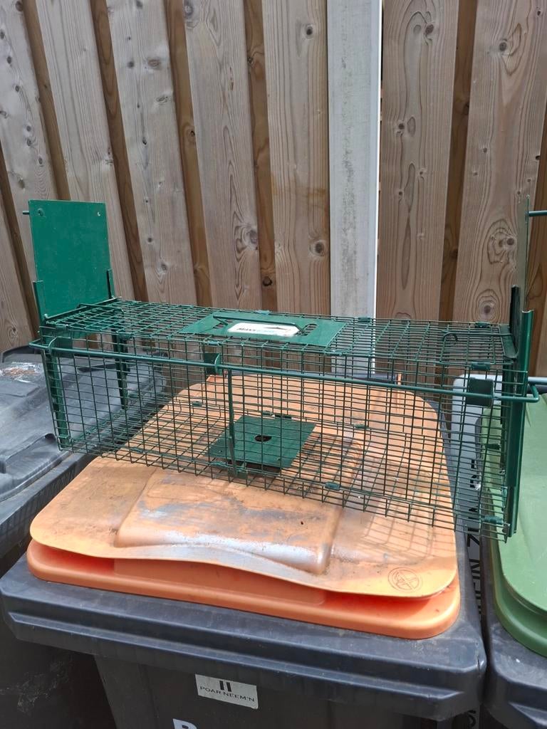 Vangkooi ratten steenmarters, Ophalen, Zo goed als nieuw, Overige typen