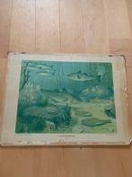 Originele schoolplaat koekoek, Ophalen