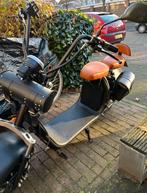 Ecruiser X1 CUSTOM EDITION elektrische scooter, Ophalen, Zo goed als nieuw, Elektrisch, Overige merken