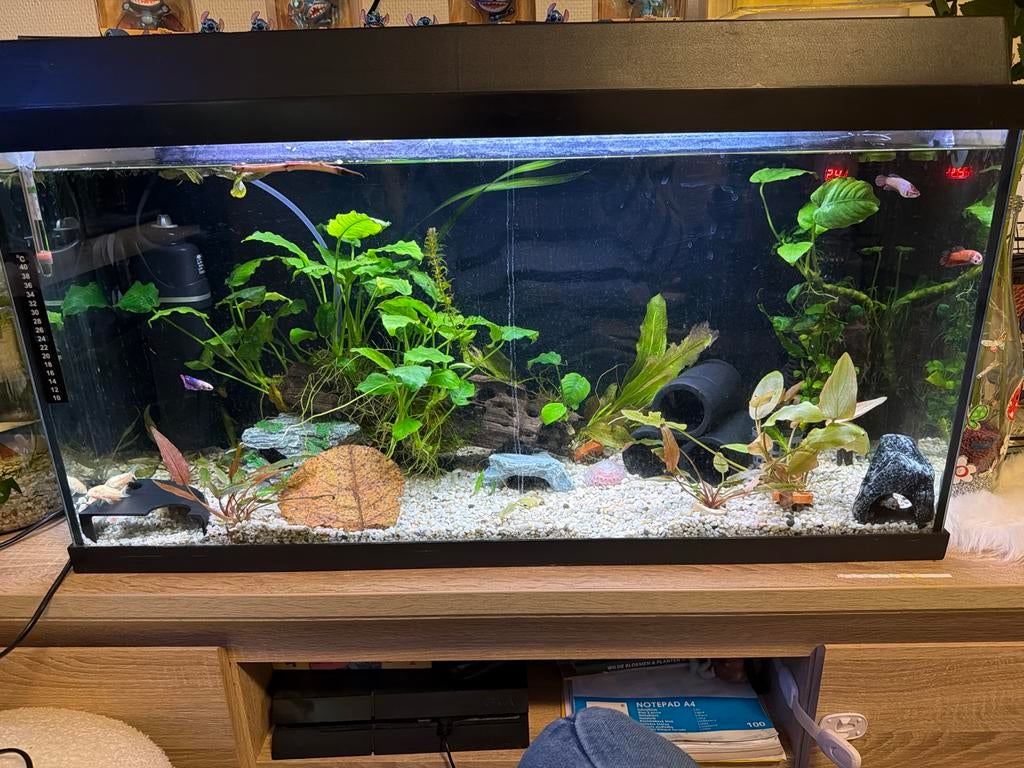 80 liter aquarium, Ophalen, Zo goed als nieuw, Leeg aquarium