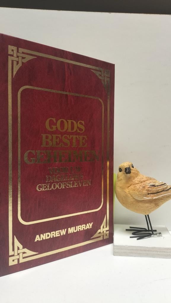 Murray, Andrew; Gods beste geheimen, Boeken, Ophalen of Verzenden, Gelezen, Christendom | Protestants