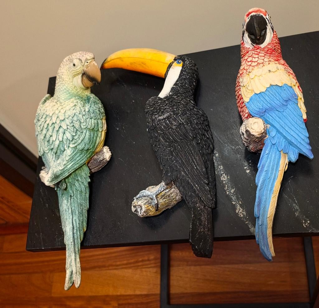 Beelden vogels, Ophalen of Verzenden, Zo goed als nieuw, Dier