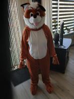 Te koop nieuw vosse kostuum, Ophalen