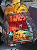 Complete grote hamsterkooi, Kooi, Minder dan 75 cm, Zo goed als nieuw, Hamster