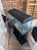 Aquarium met standaard, Ophalen, Leeg aquarium